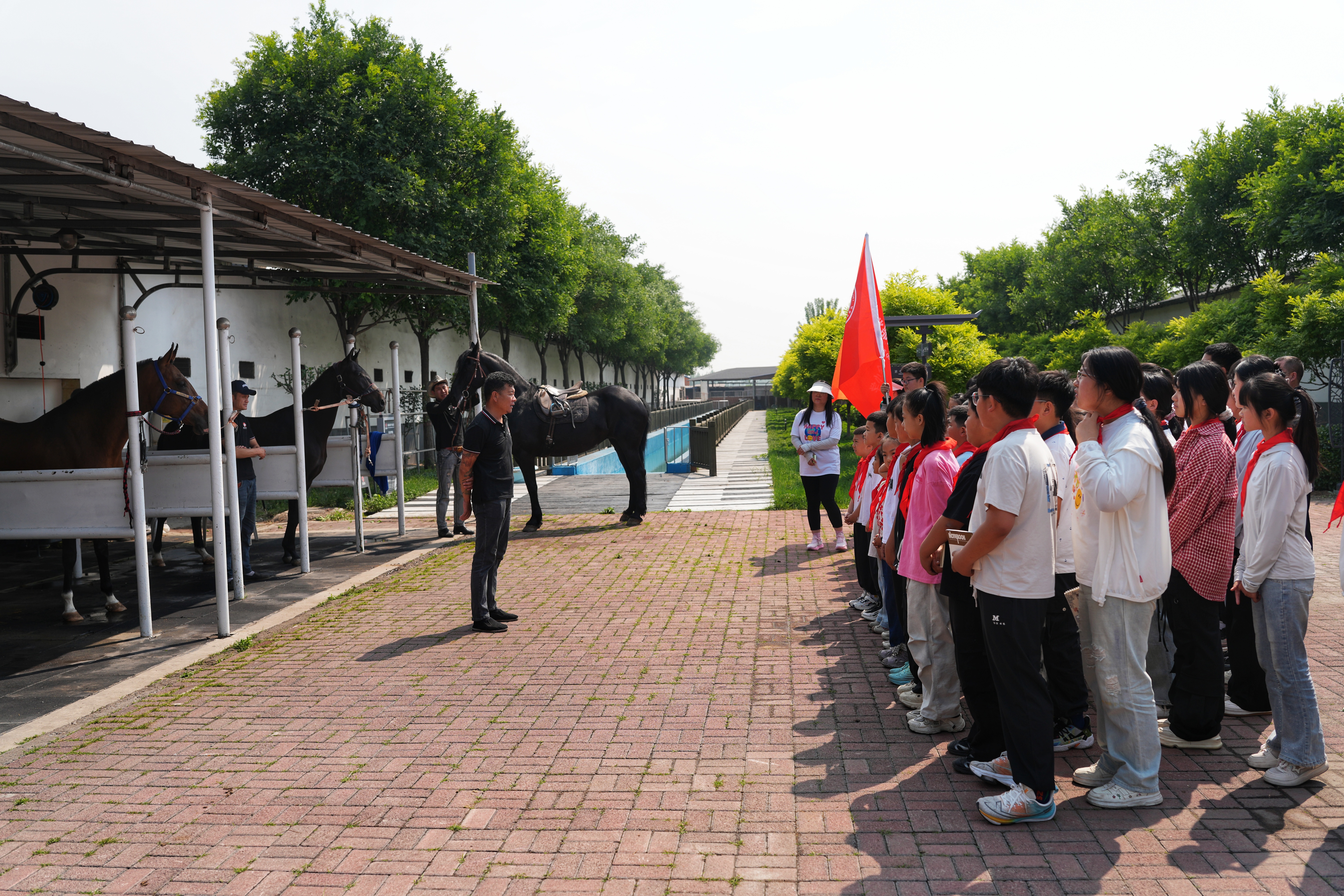 河北迁安：趣味研学游 “马”上迎“六一”_fororder_5月27日，马场教练正在向同学们介绍有关马的知识。张泽慧摄