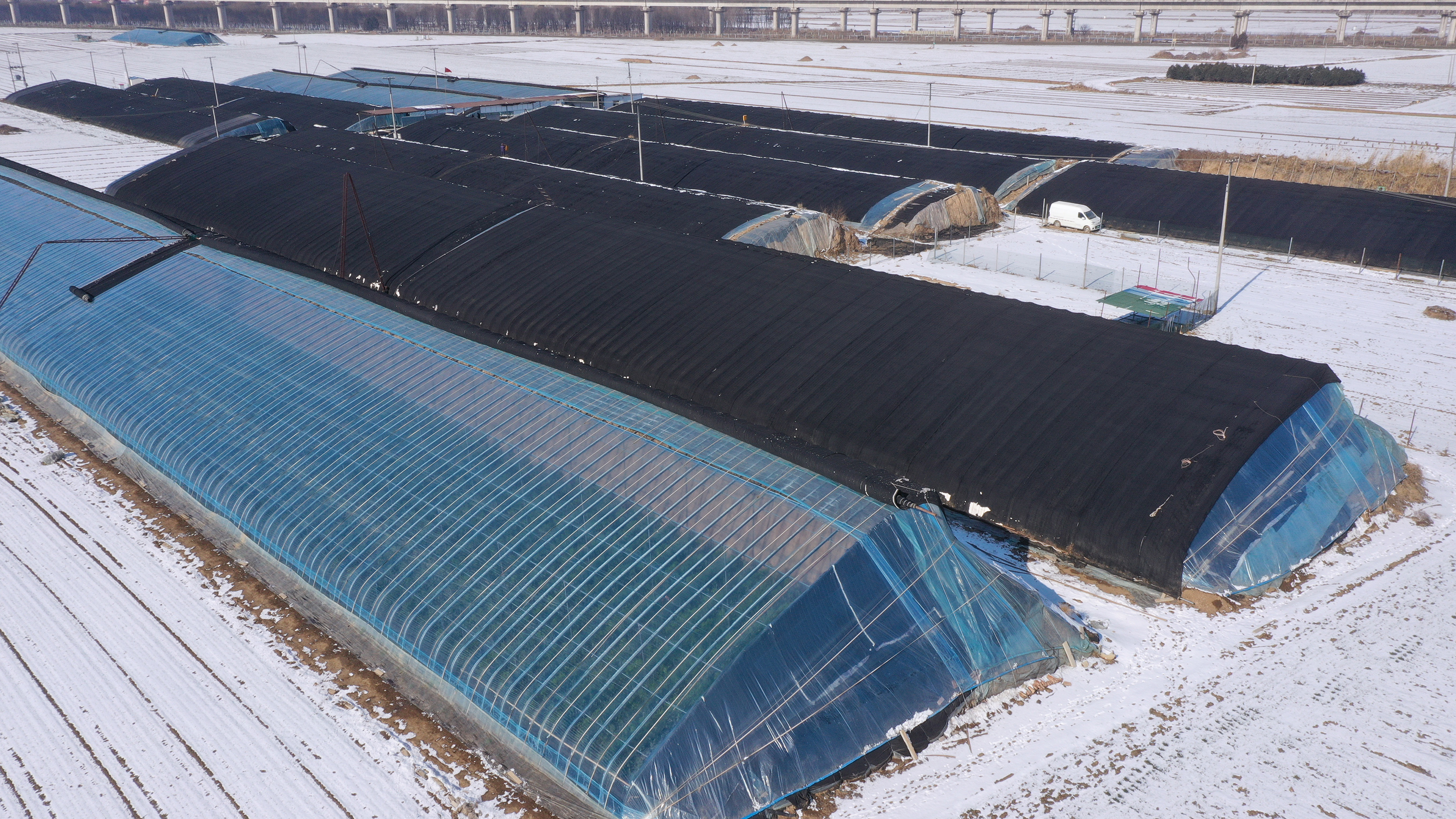 图片默认标题_fororder_图片 4