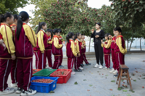 石家庄晋州:劳动赋能“双减” 助力学生成长