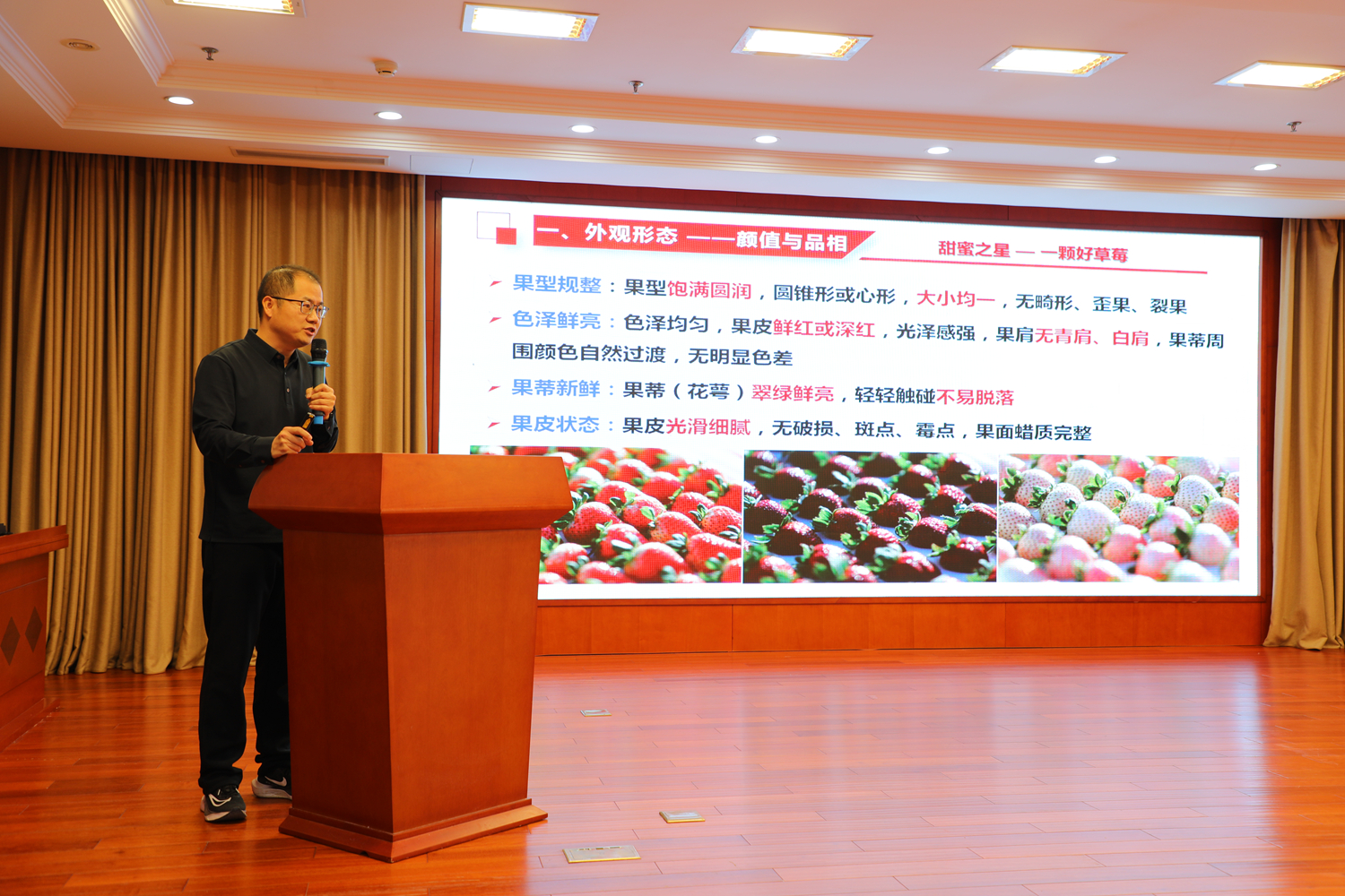 保定市满城区举行2025年我最喜爱的“金草莓”品鉴评比活动_fororder_河北农大教授就品鉴活动具体评分规则进行讲解 摄影 南双双