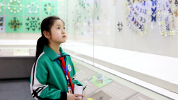 河北沧州运河区：爱鸟护鸟传温情 生态教育润童心