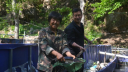 河北阜平：夏庄乡二道庄“冷水鱼”游出“热经济”