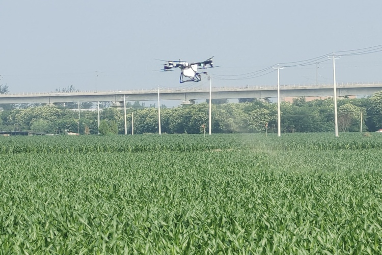 保定市徐水区：群众有事找支部 干部服务有温度_fororder_麒麟店村党支部根据百姓需求，集中进行农田飞防作业。董利民 摄