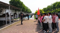 河北迁安：趣味研学游 “马”上迎“六一”