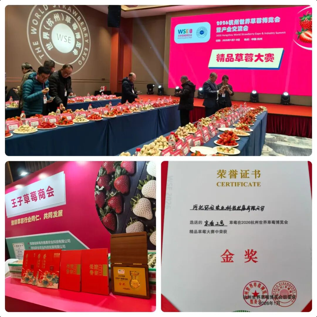 图片默认标题_fororder_图片 1