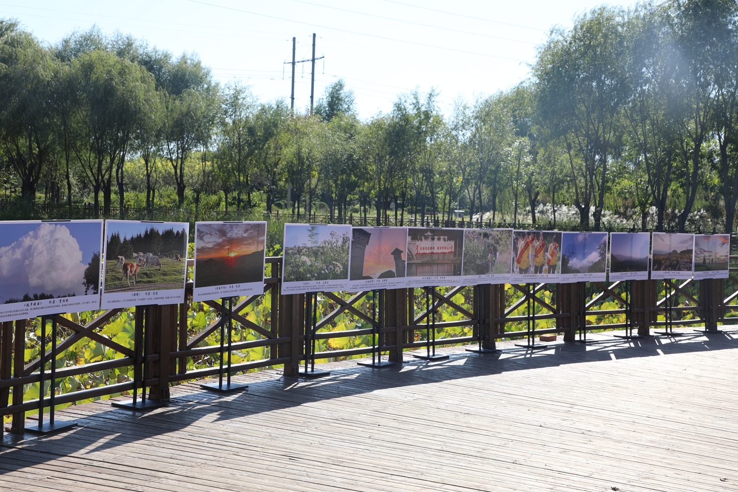 “双争”有我丨保定市满城区:艺彩青春颂国 乡情文化筑梦