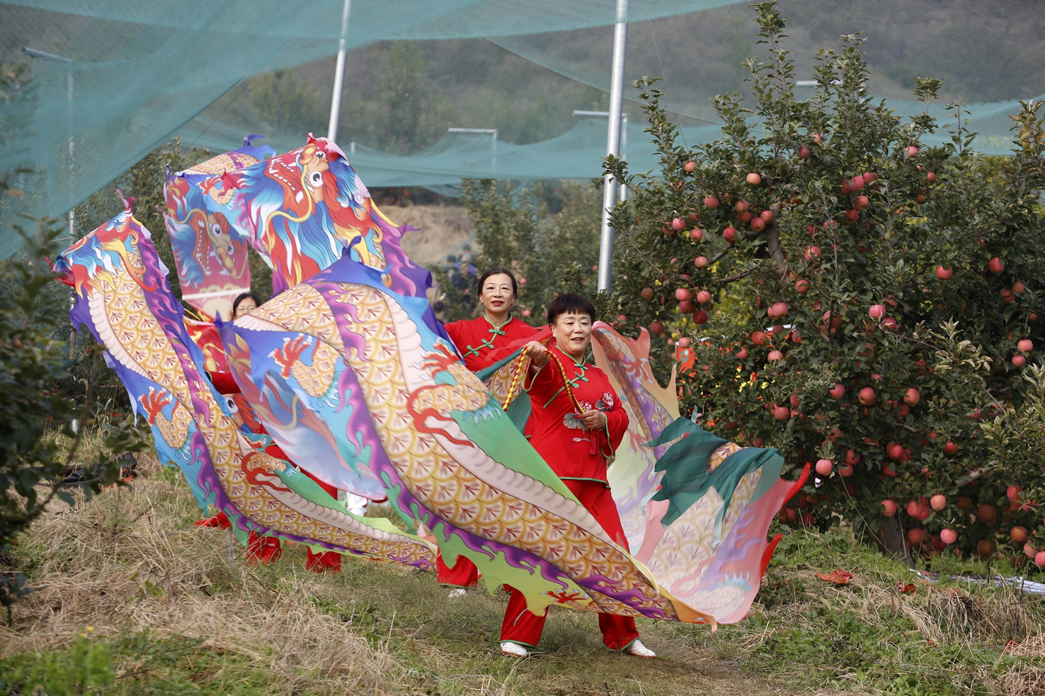 保定市满城区：“媒体+”赋能特色农业 共绘乡村振兴新画卷_fororder_精彩的舞龙表演 摄影 田素然