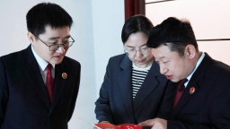 聚焦2026河北两会丨河北省人大代表车洪艳：以法治力量护航创新共塑一流营商环境