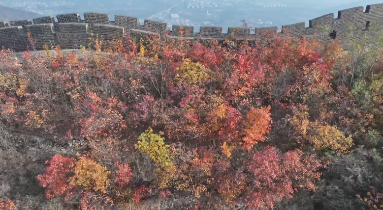 石家庄市鹿泉区：来西部长青看万山红遍、层林尽染_fororder_图片4