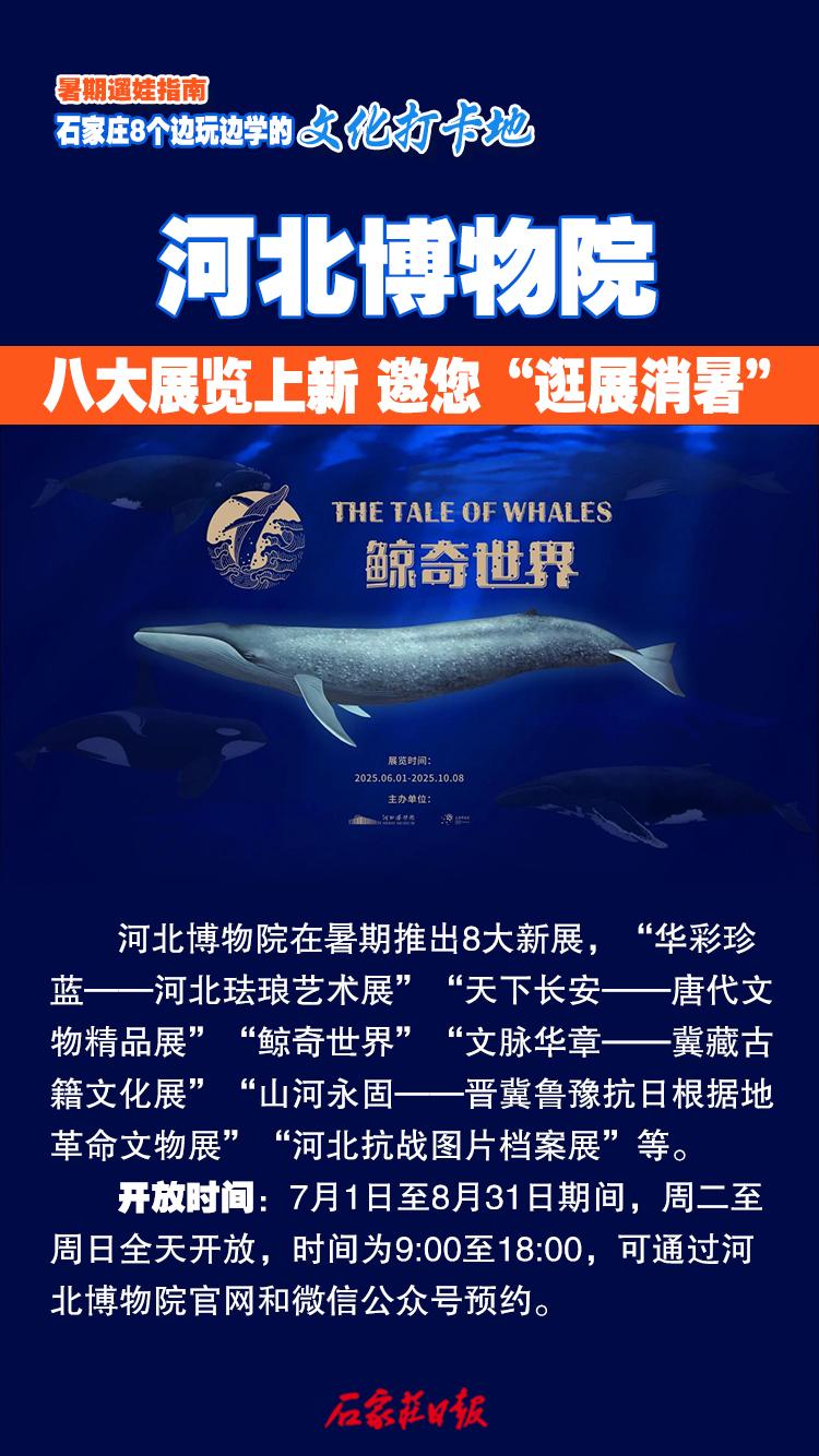 海报｜暑期遛娃指南 石家庄8个边玩边学的文化打卡地