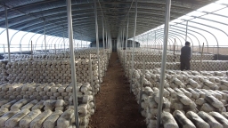 河北迁安：百余名高校学子投身家乡社会实践