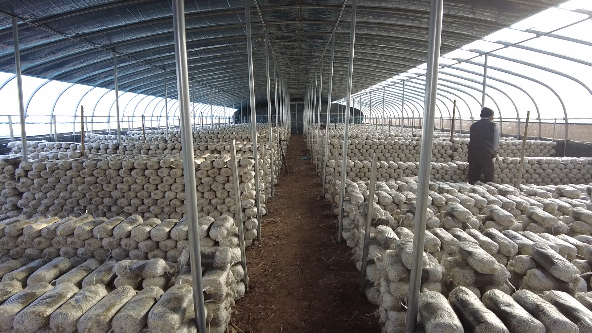 河北迁安：百余名高校学子投身家乡社会实践_fororder_图3