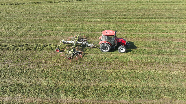 河北南皮：尾茬苜蓿喜迎收_fororder_国际在线图文：河北南皮：尾茬苜蓿喜迎收129