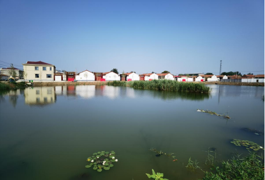 783个省级和美乡村“扮靓”沧州城乡