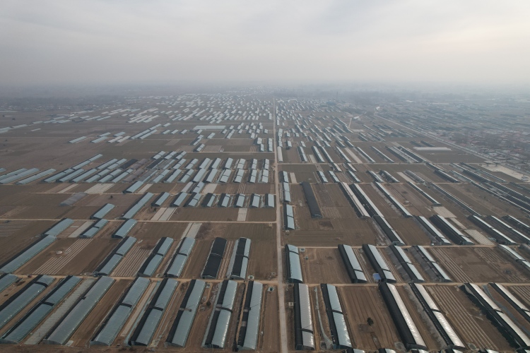 图片默认标题_fororder_图1