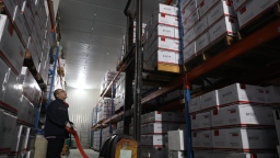 【新春走基层】保定莲池区：企业复工复产忙 全力冲刺“开门红”