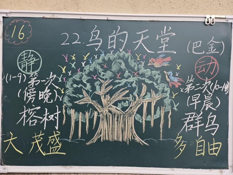 石家庄市西里小学：“粉笔生花”板书尽显教学魅力
