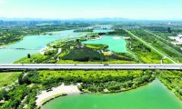碧水奔流万物生——从美丽河湖看石家庄滹沱河生态修复之路