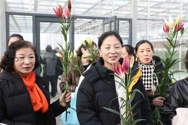 保定徐水：“花式年货”上新 成年节文旅市场新宠