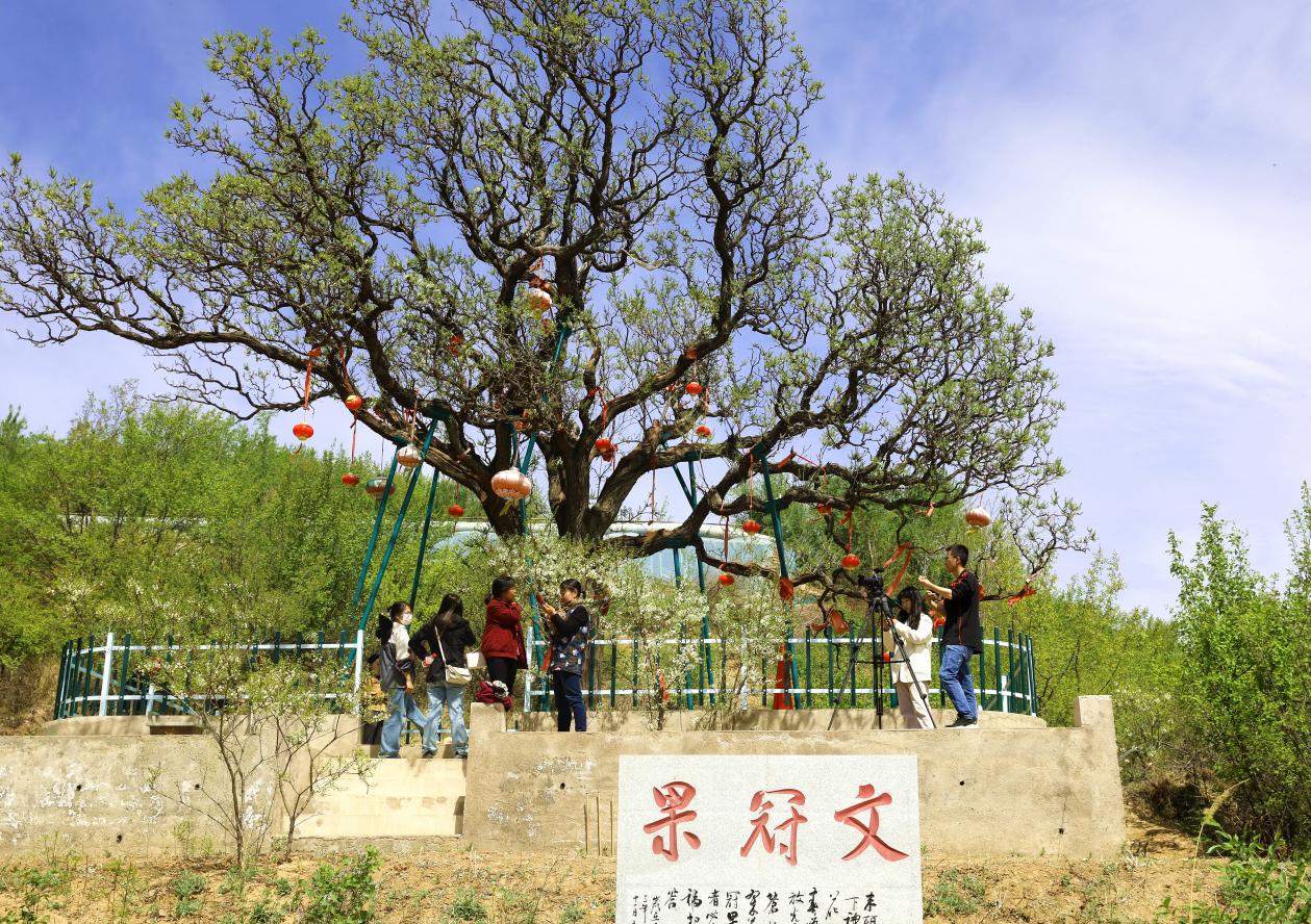 图片默认标题_fororder_image003