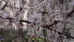 河北迁安：春暖花开家园美