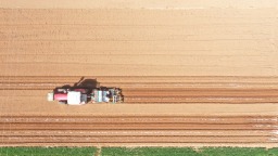 河北迁安：春耕好时节 花生播种忙