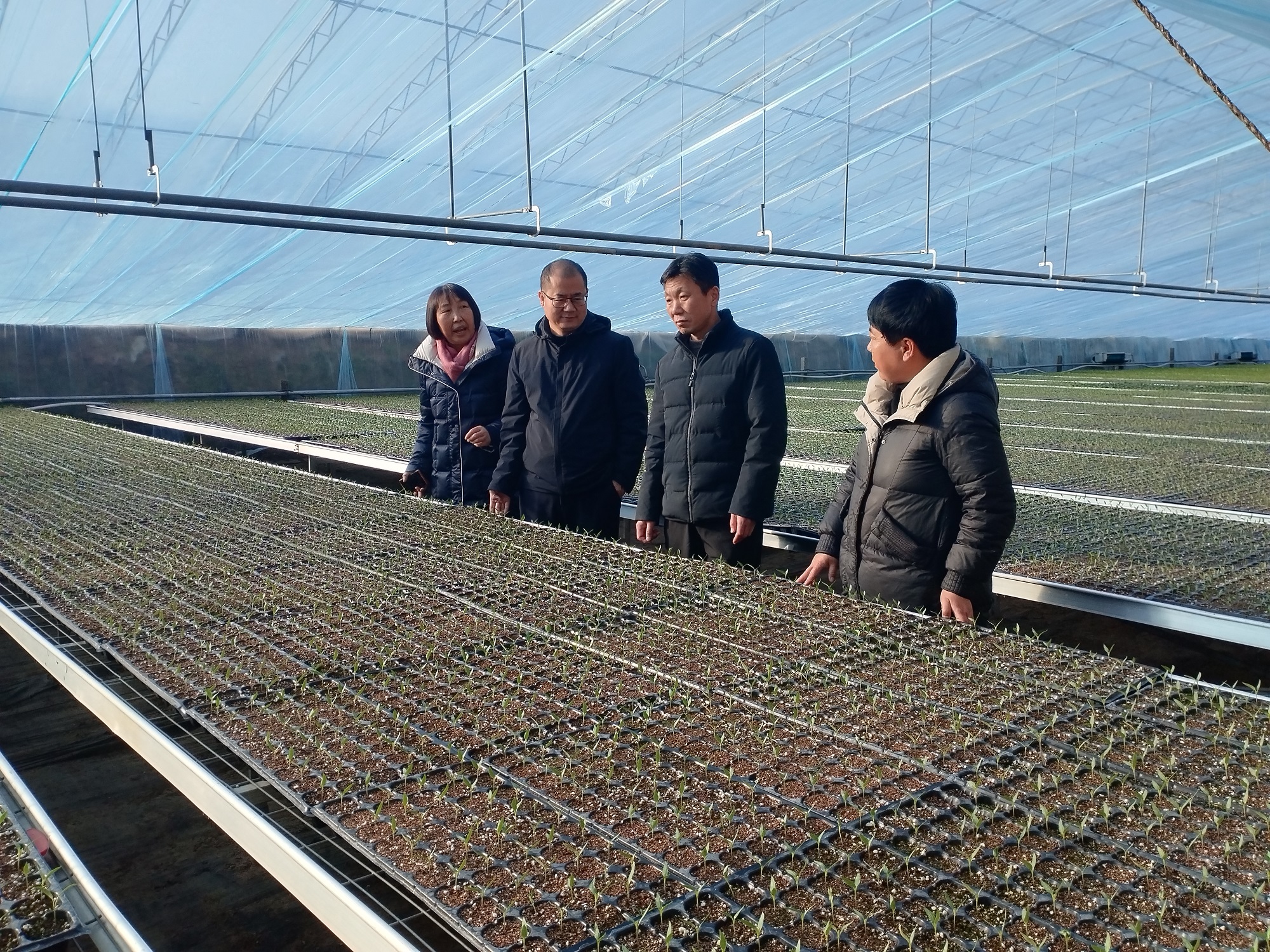 保定博野：精准培训强技能 校企携手促发展_fororder_1