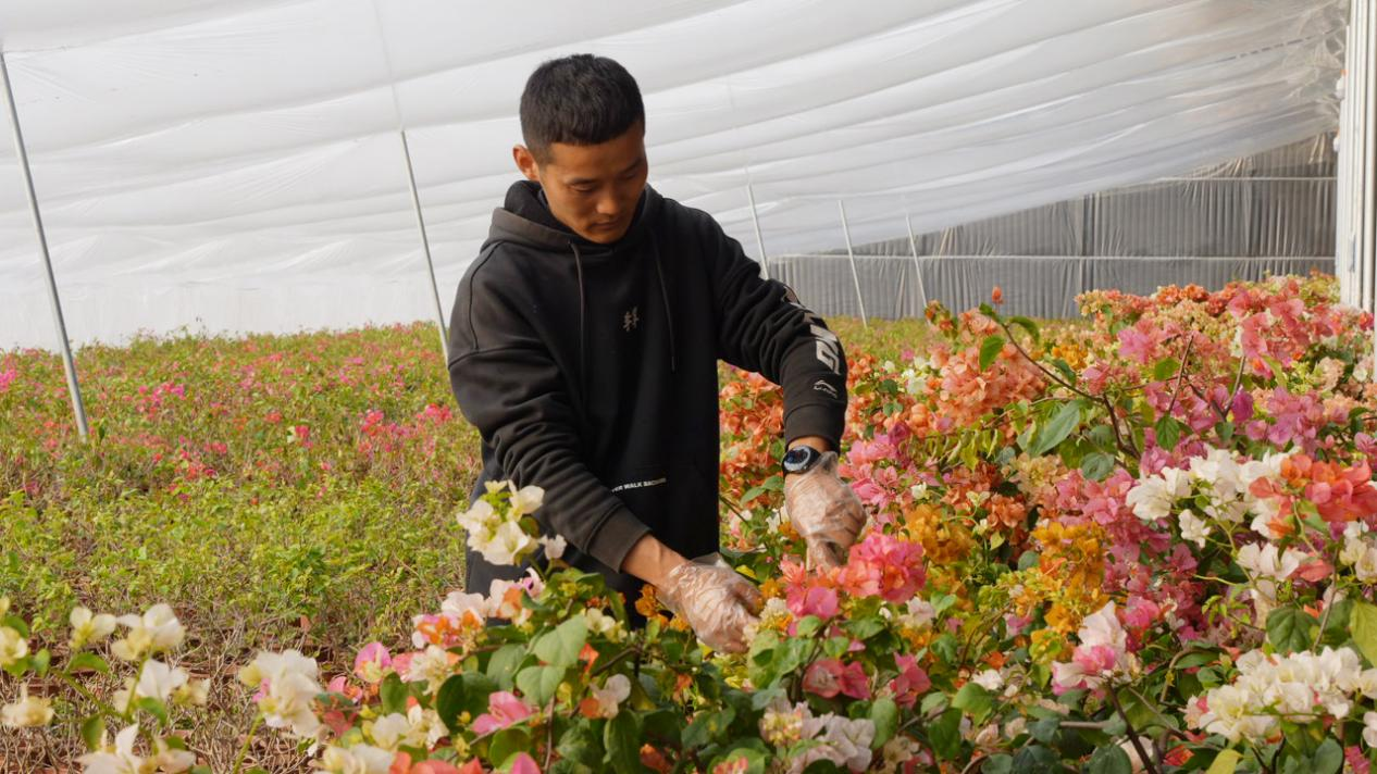 图片默认标题_fororder_图片 2