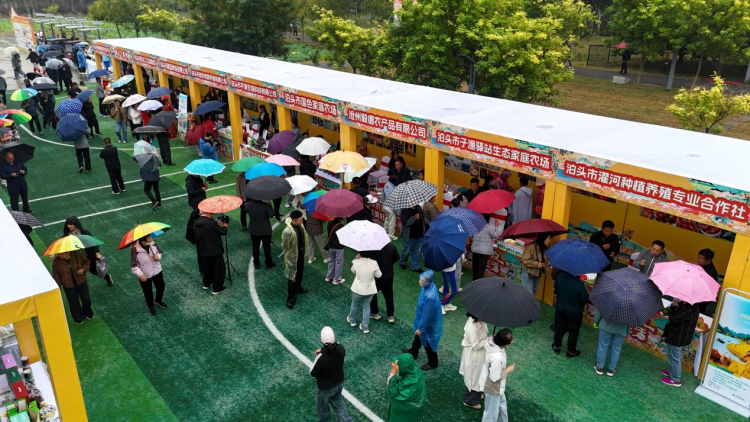 图片默认标题_fororder_1