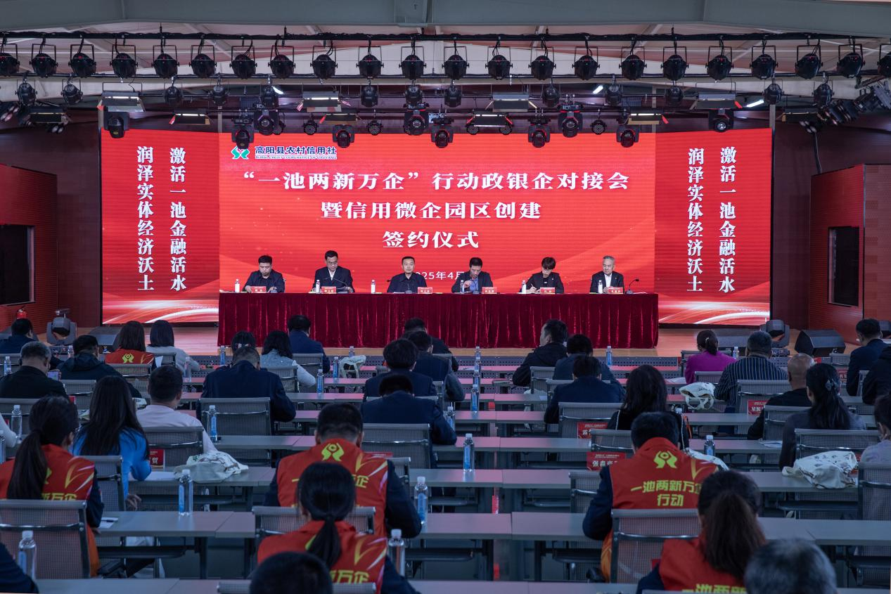 河北高阳：政银企助力小微企业高质量发展_fororder_图片 1