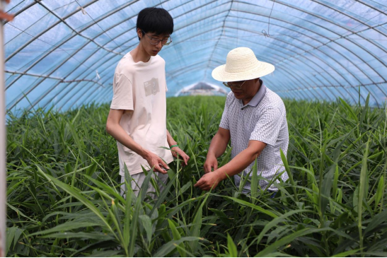 河北涞水：“小屏幕”撬动大产业 “乡村CEO”引领兴农潮_fororder_河北涞水：“小屏幕”撬动大产业 “乡村CEO”引领兴农潮806