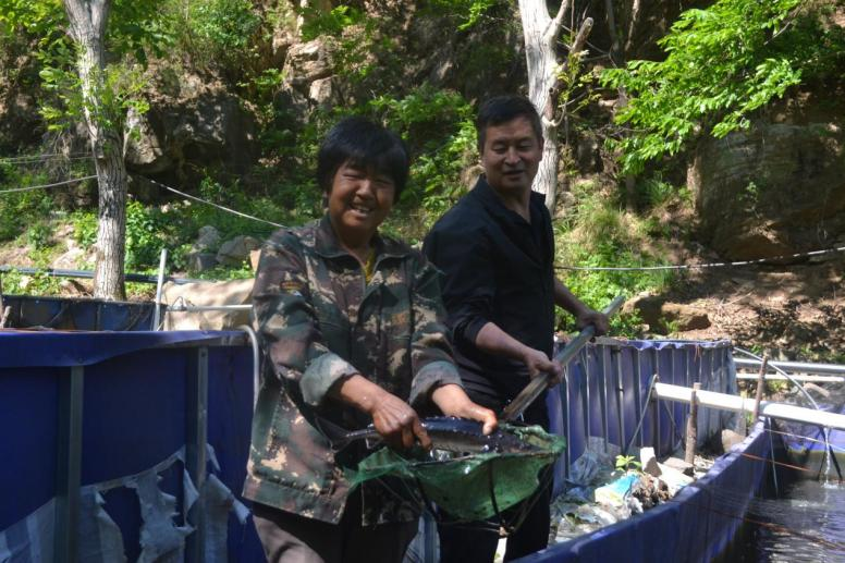 河北阜平：夏庄乡二道庄“冷水鱼”游出“热经济”_fororder_河北阜平：夏庄乡二道庄“冷水鱼”游出“热经济”2