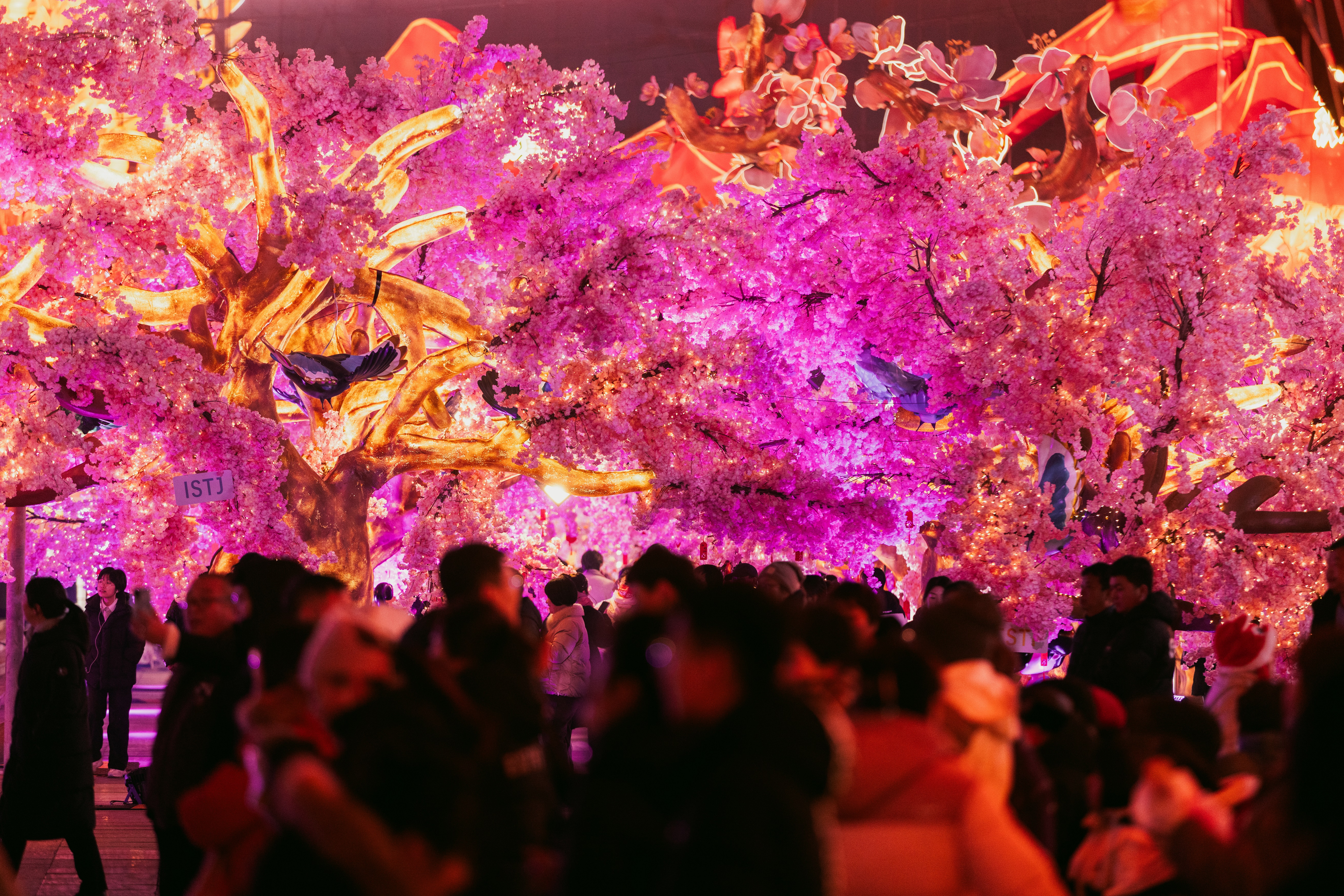 2025唐山南湖春节灯会：花灯如昼闹元宵