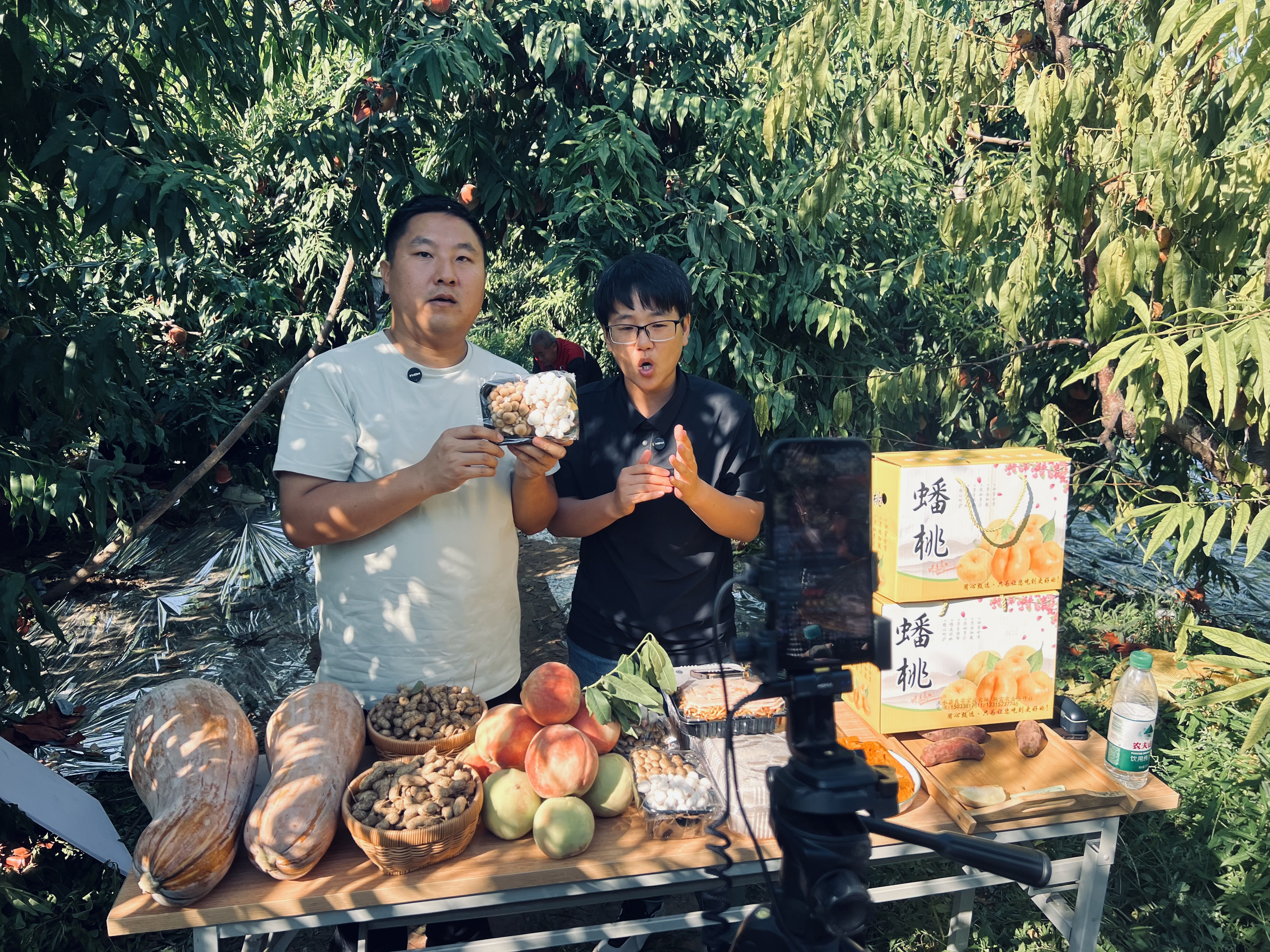图片默认标题_fororder_图片5