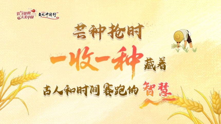 【节气里的大美中国】动长图｜芒种抢时！一收一种藏着古人和时间赛跑的智慧_fororder_e52f87d0-e57a-4c02-aa0e-30170954def9
