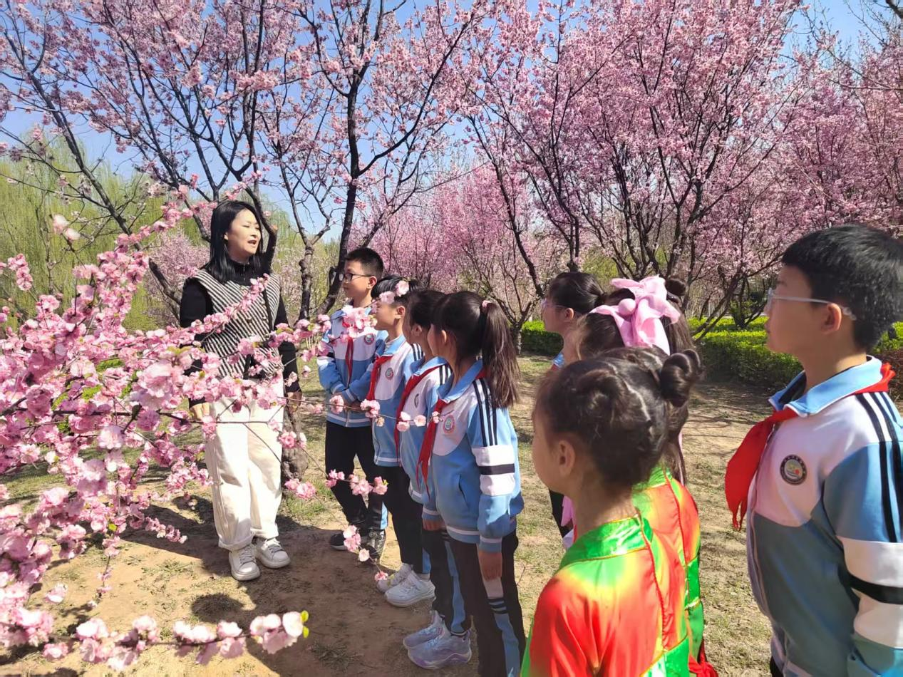 河北省泊头市各小学组织走进春天体验农耕活动_fororder_图片1