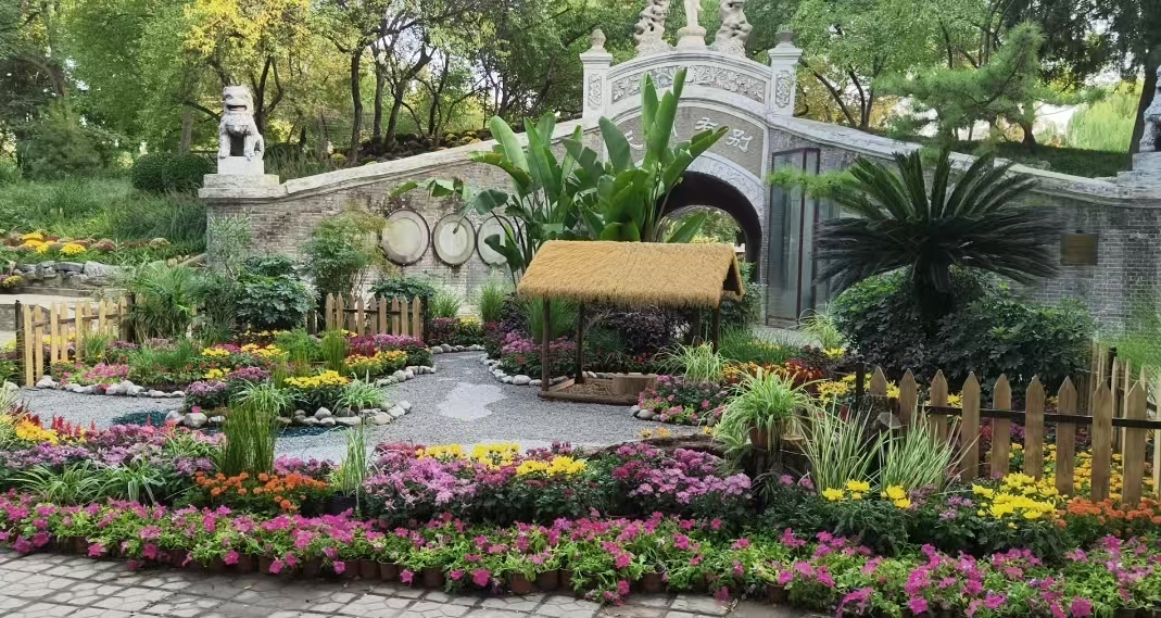 河北保定：古城秋色染菊韵 双节人游画中园_fororder_图片4