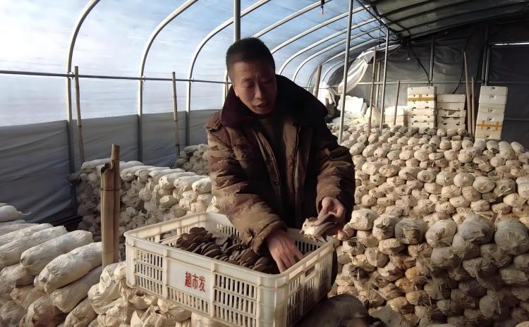 河北迁安：百余名高校学子投身家乡社会实践_fororder_图2