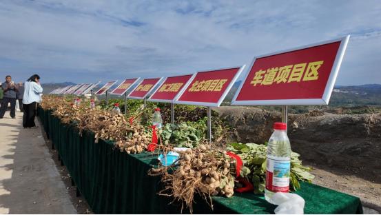 河北省优质花生产业发展观摩会暨阜平花生展示展销活动举行_fororder_2_河北省花生产业集群推进会暨阜平花生展示展销活动在阜平举行(1)(1)(2)(1)373