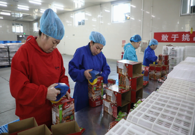 图片默认标题_fororder_参赛职工正在进行产品封盒竞赛。融媒体中心供图