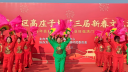 沧州高新区：文艺汇演贺新春 欢声笑语暖人心