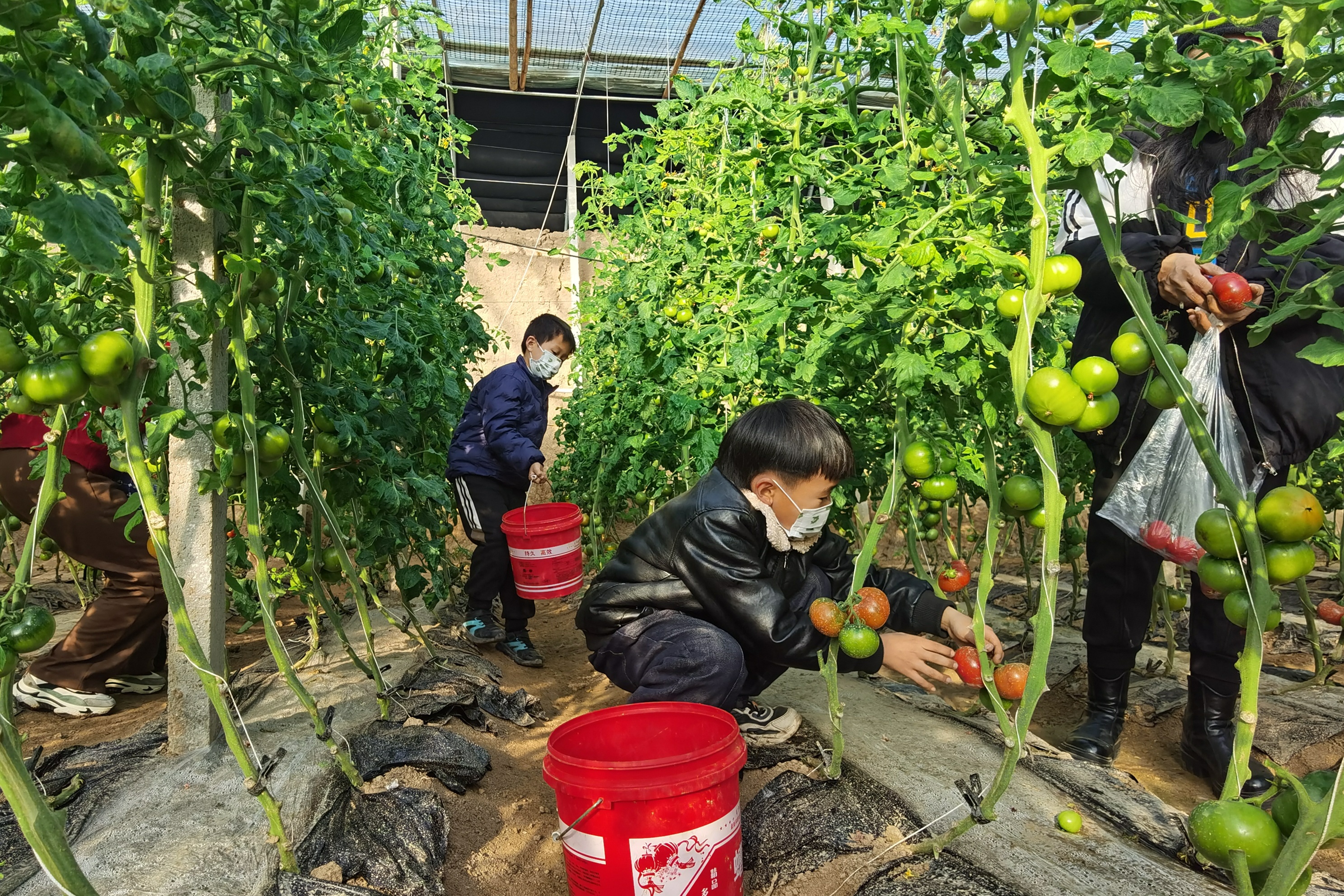 保定徐水区：合作社年货丰 村干部促销忙