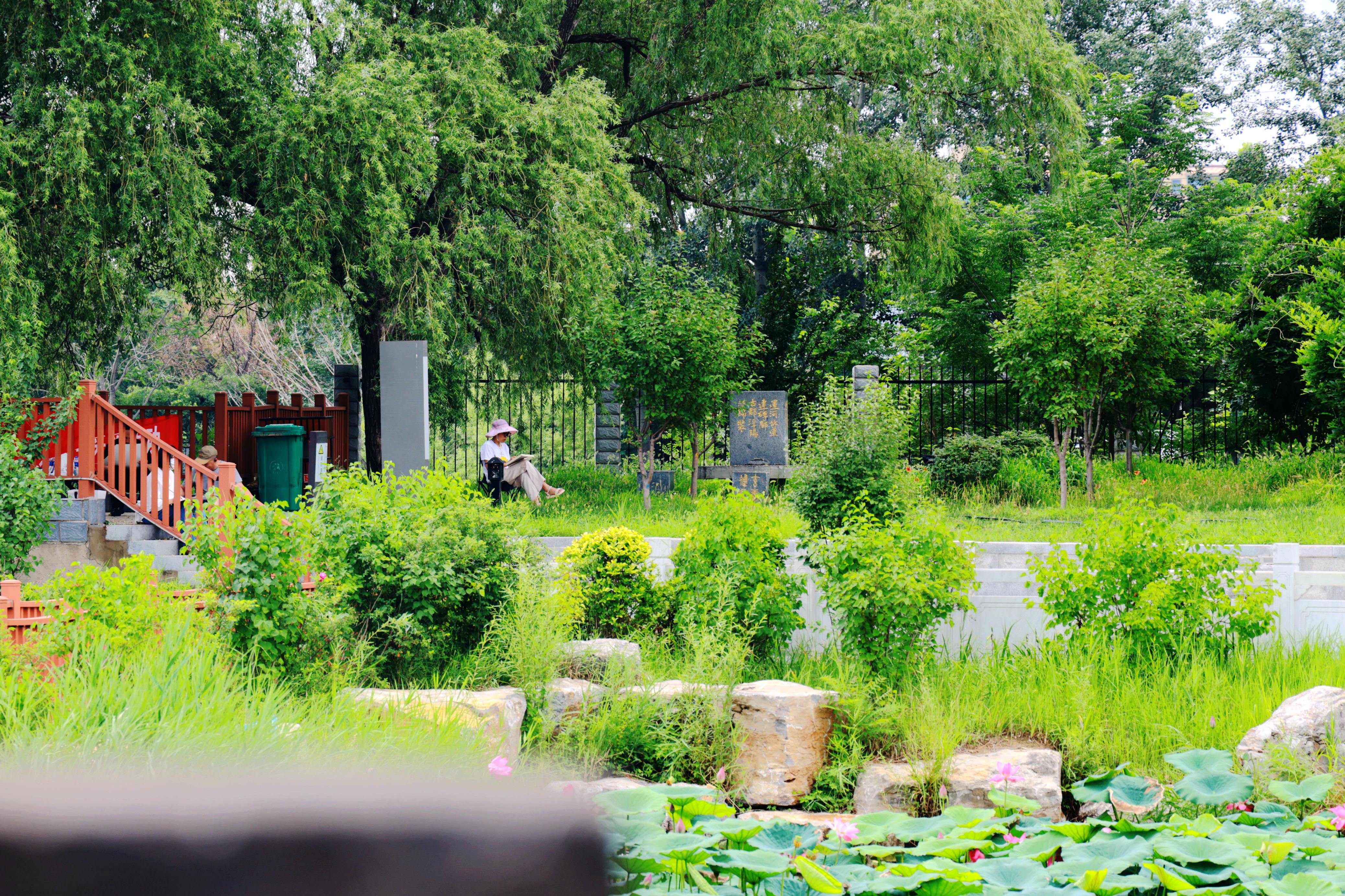 河北沧州：深耕运河文化 描绘运河新貌_fororder_图片2