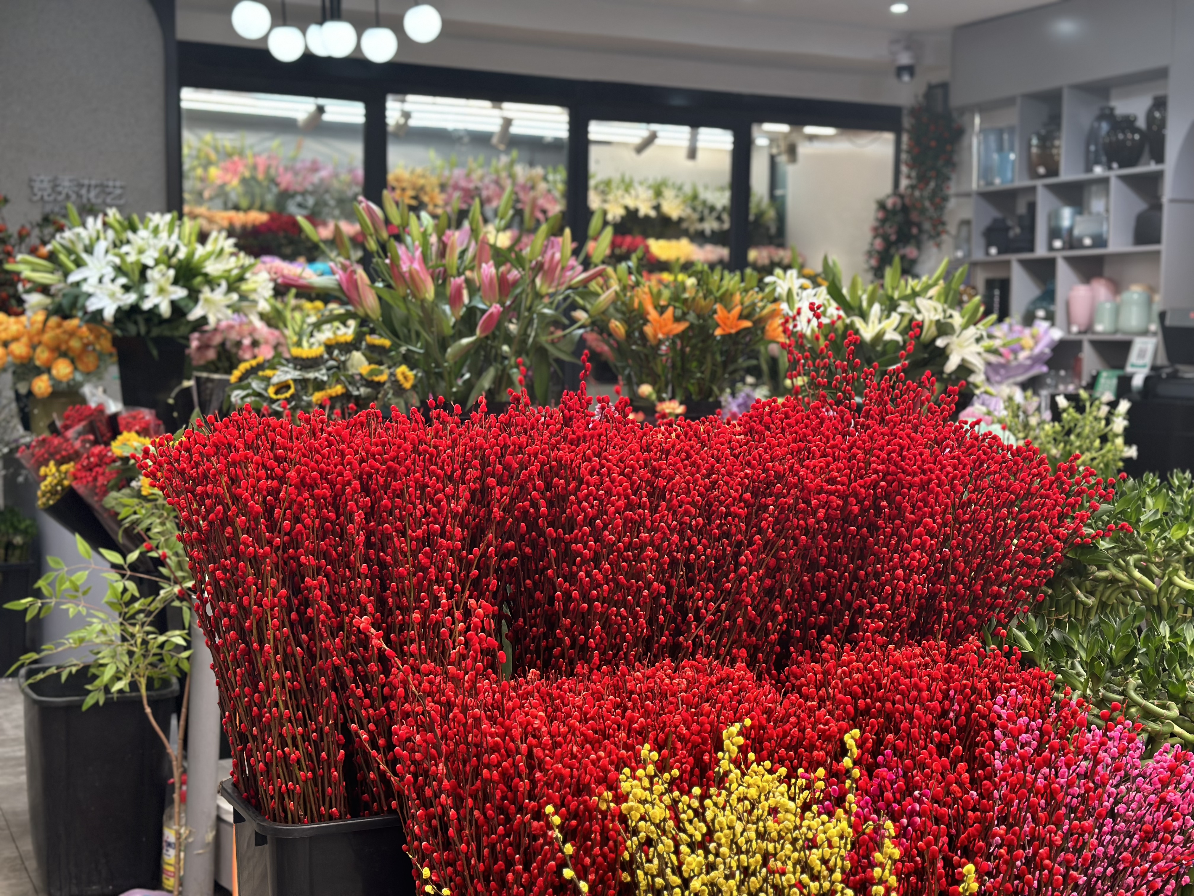 河北保定：鲜花市场春意浓