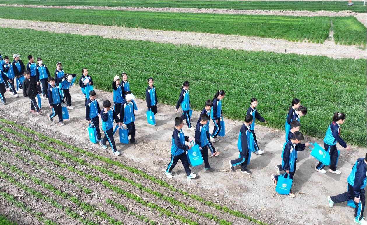 河北沧州南大港盐碱地变身“希望田”激发少年科学梦_fororder_图片6