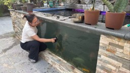 美丽庭院微循环 环保贡献大浪漫 ——保定市莲池区焦庄镇美丽庭院绘就生态宜居新画卷