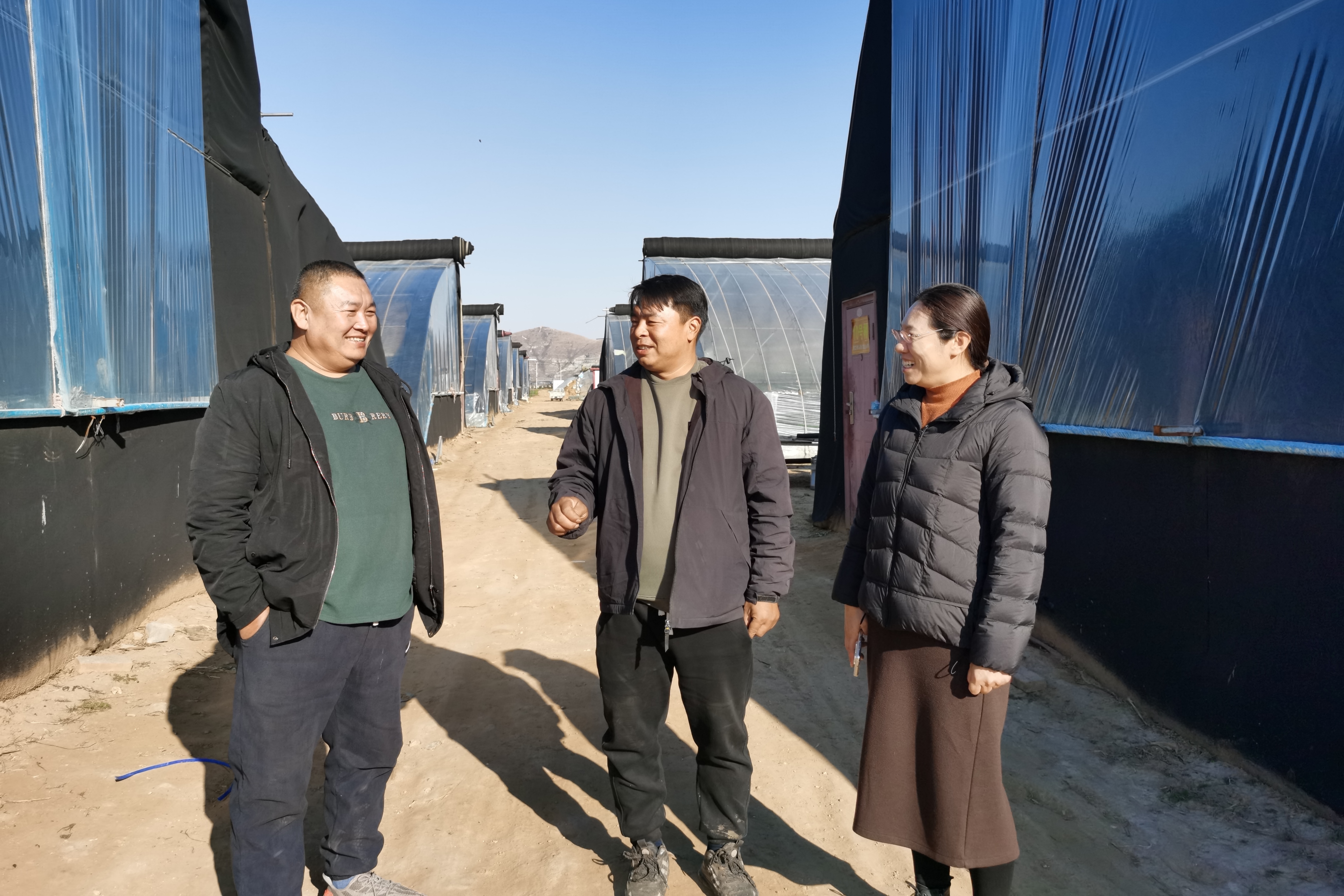 保定市徐水区：草莓之乡“三变” 传统产业焕新