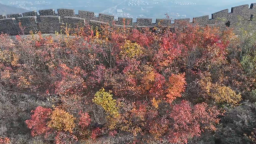 石家庄市鹿泉区：来西部长青看万山红遍、层林尽染