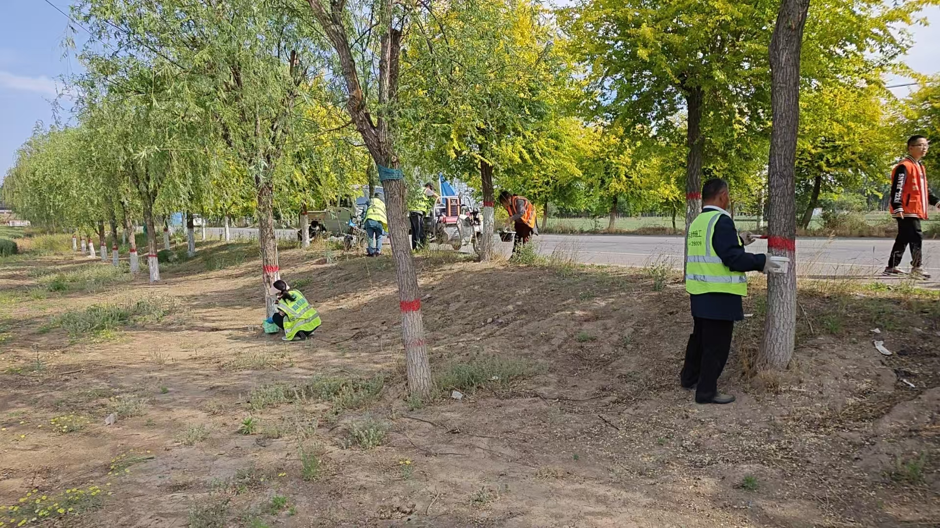 保定博野：人工涂抹防治病虫害 道路生态撑起“安全伞”_fororder_1