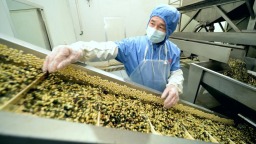 “高碑店豆腐丝”获评保定区域公用品牌